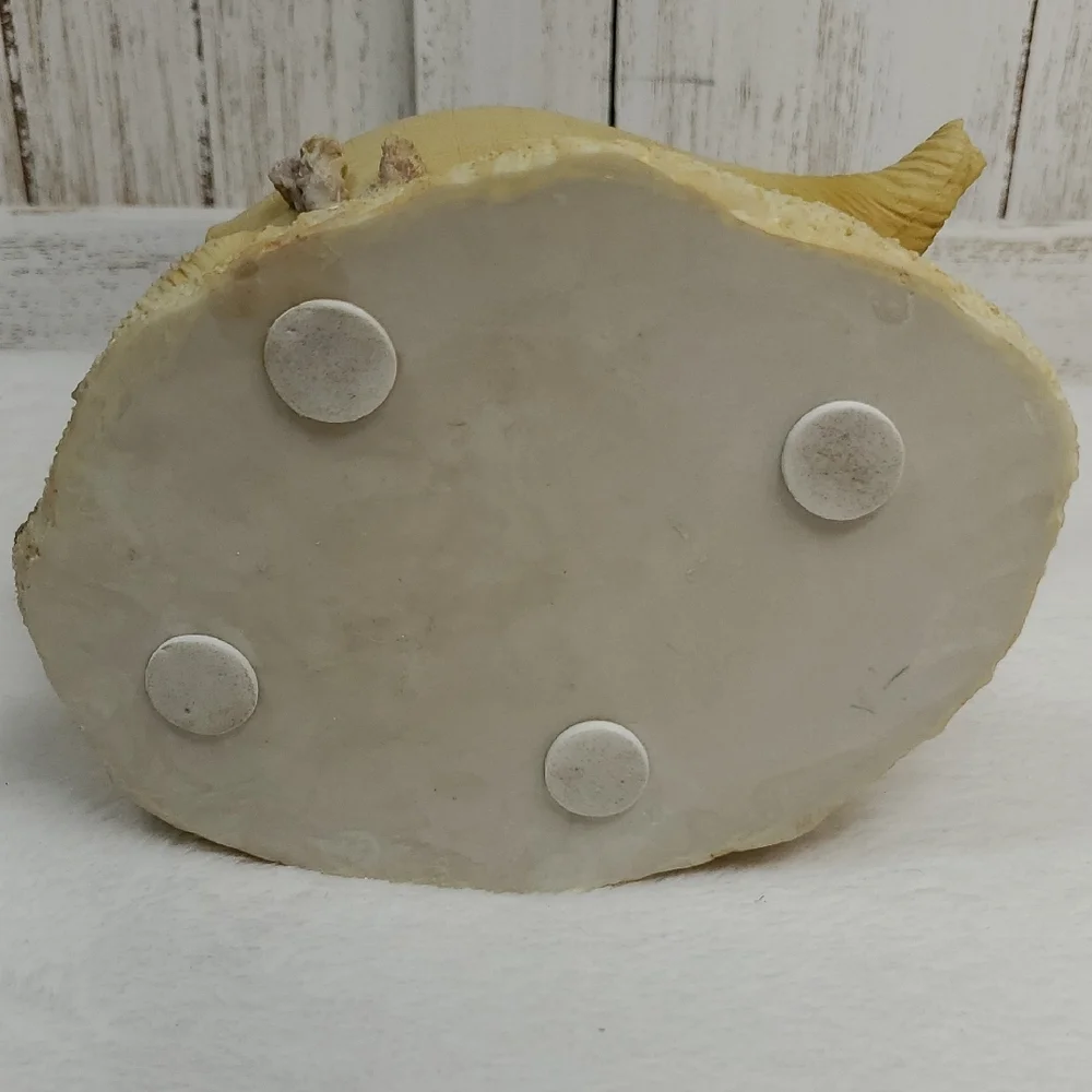 Conch Shell Seashell Planter Beach Ocean Coastal Decor